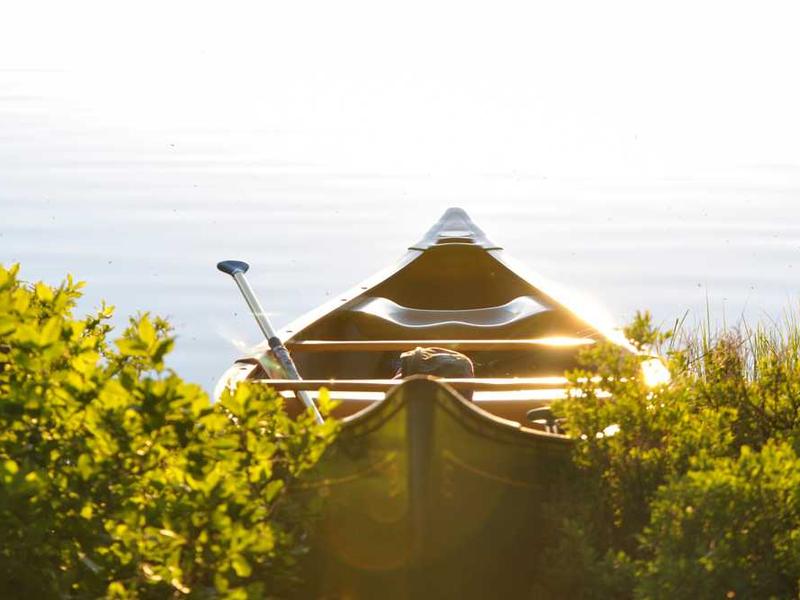 Aslol blog thumbnail